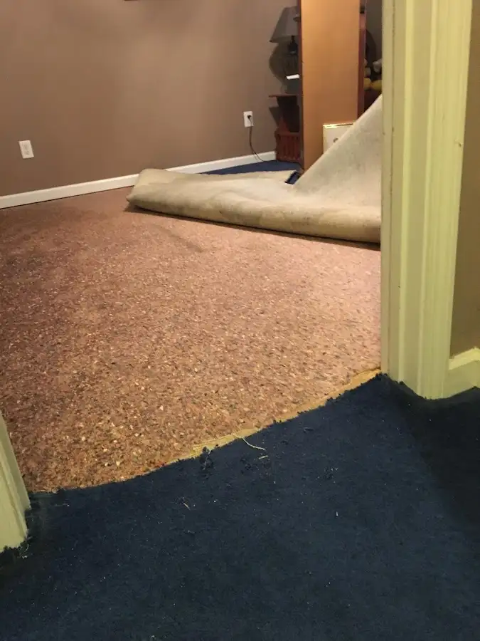 Carpet pad removal revealing water damage during Water Mitigation Services in Miami Shores