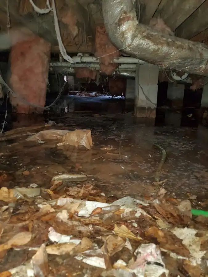 Crawl space flood assessment for Leak Detection & Repair in Miami Shores